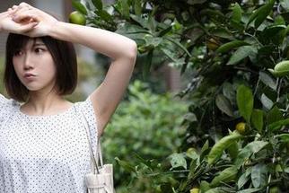 けん研的夏天，让我觉得下载一张都成了提前享受的福利。