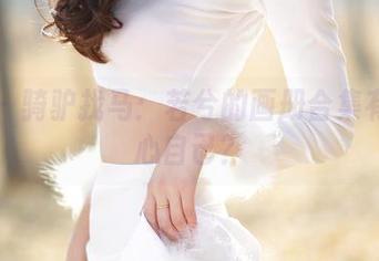 爱丝 – 骑驴找马：若兮的画册合集有多偏心自己？