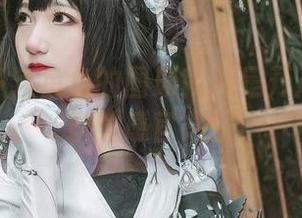 光看许多鱼鱼鱼的图册就像是开启了桃花妖的感官之旅